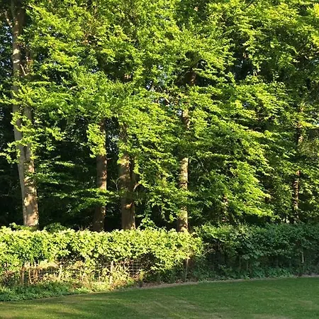 Ferienhaus Baek-Ratzeburg Bak Zewnętrze zdjęcie